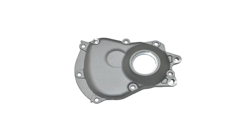 ŞANZIMAN KAPAĞI (VIESTE249)